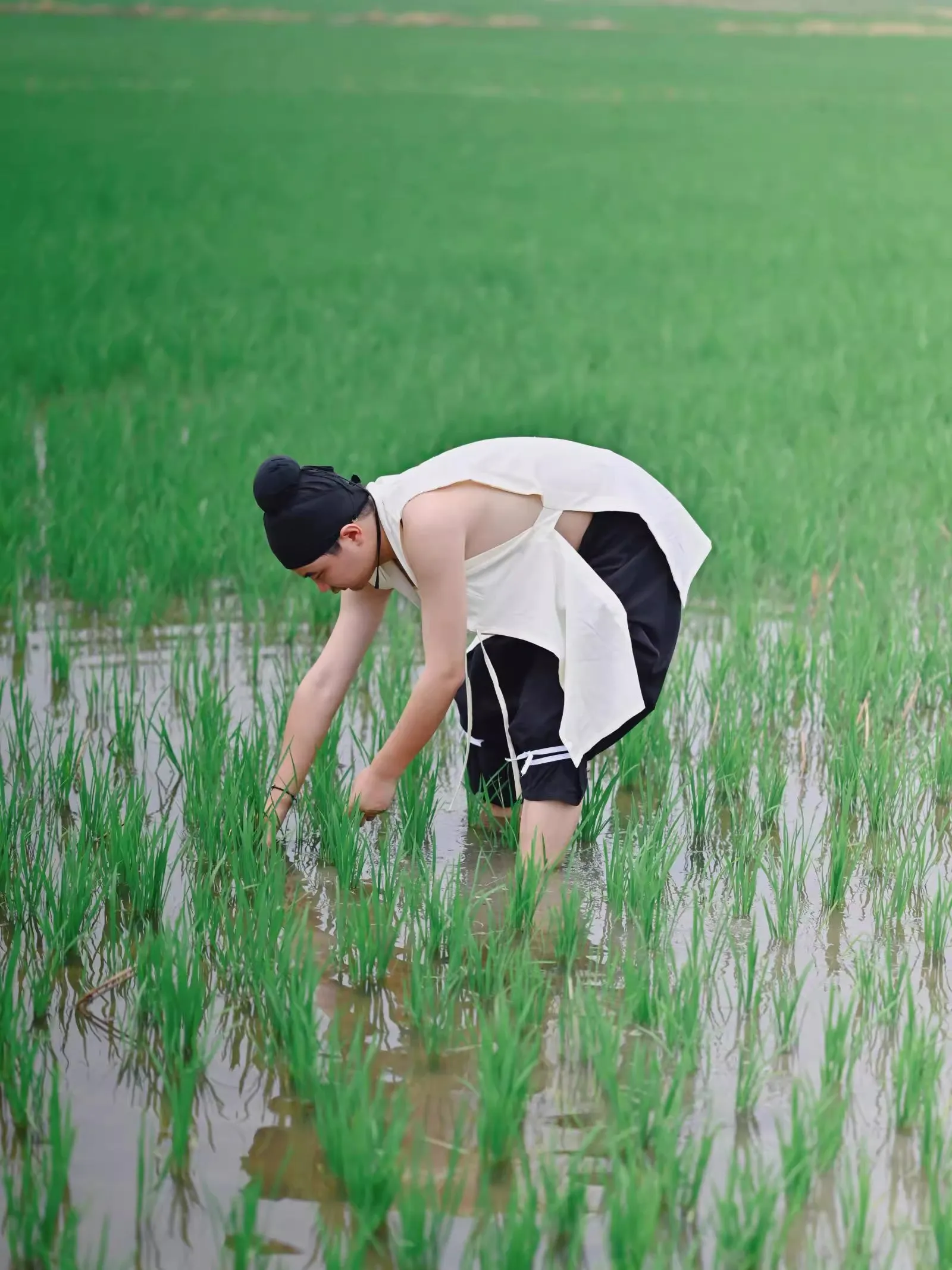 Bei Xin 背心 Ming Dynasty Unisex Pure Cotton Vest
