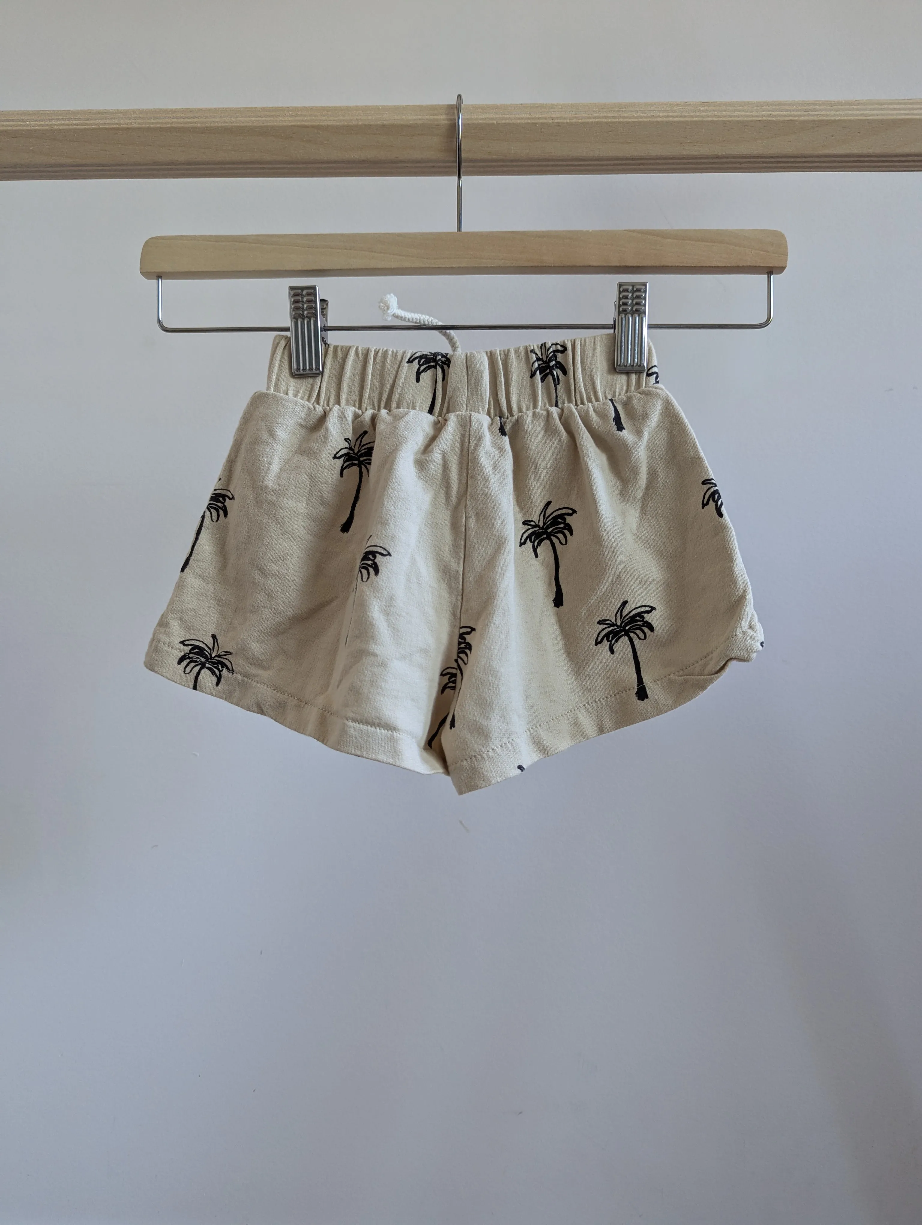 Zara Shorts ( 3-4T )